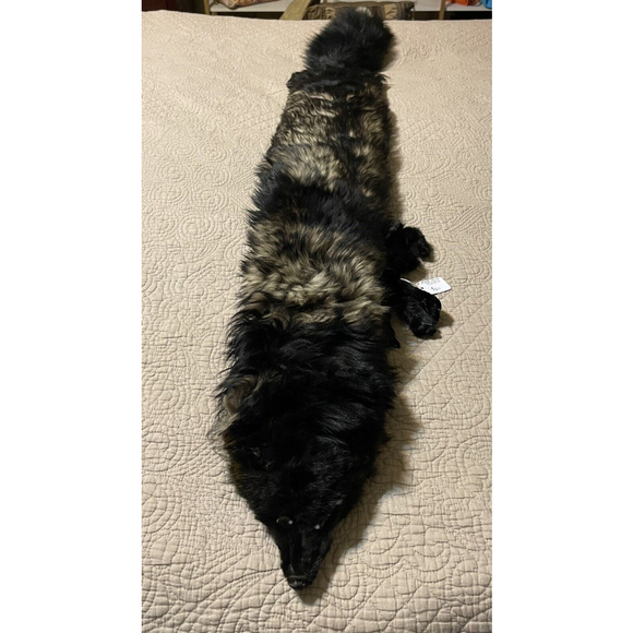 Vintage 1950s Glamour Authentic Large Black Silver Fox Fur Taxidermy Stole Scarf - Picture 2 of 7